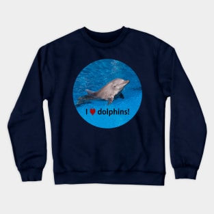 Dolphin Crewneck Sweatshirt